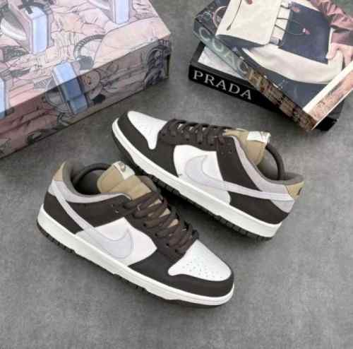 nikee Otomo katsuhiro x sb dunk low brown sail