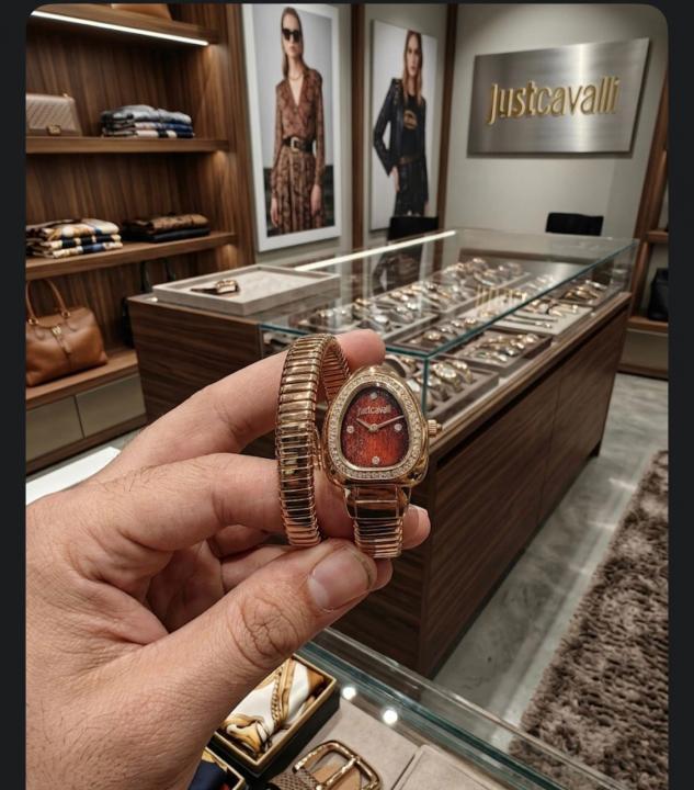 JUST CAVALLI SNAKE WATCH SINGLE RING ANALOGE WATCH GOLD BROWN 204