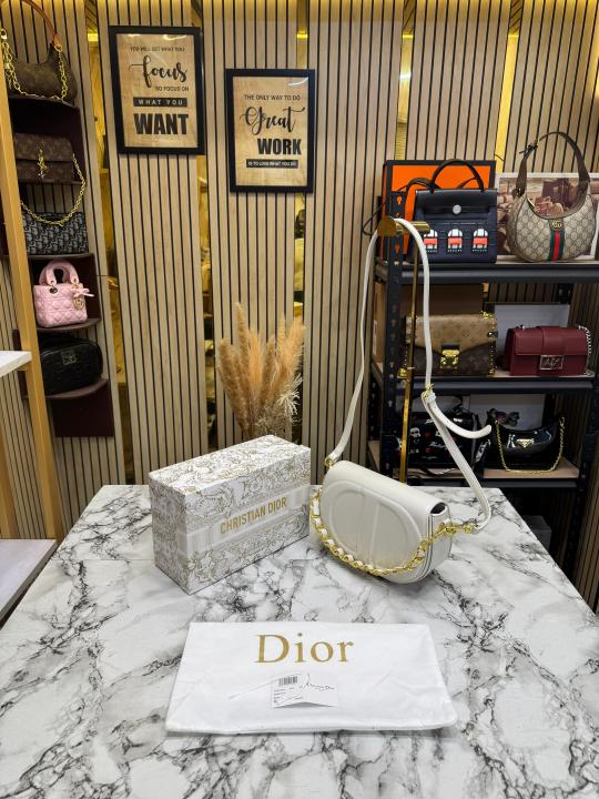 Christian Dio_r Signature Leather Saddle Shoulder Bag With Gold Chain (White)