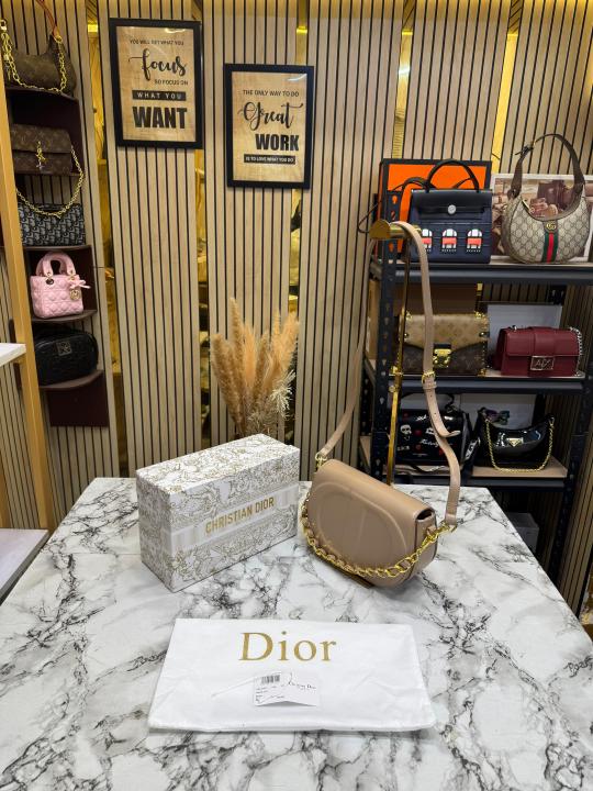 Christian Dio_r Signature Leather Saddle Shoulder Bag With Gold Chain (Khaki)