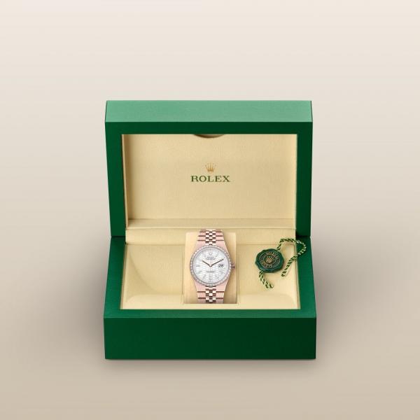 Rolee_x Oyster Perpetual Land Dweller