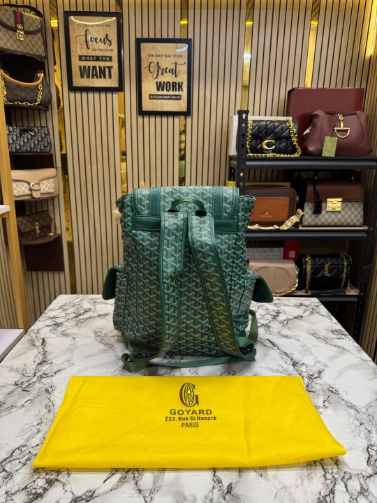Goyar_d Alpin Backpack In Goyar_dian Canvas And Leather With Dust Bag (Green) (792080)