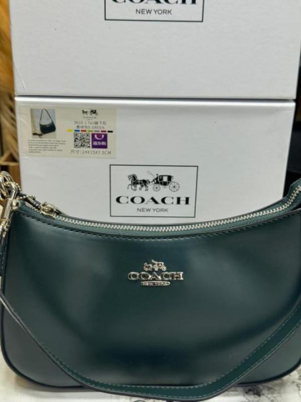 Coac_h Teri Hobo Shoulder Bag With Box And Dust Bag (Green-3616)