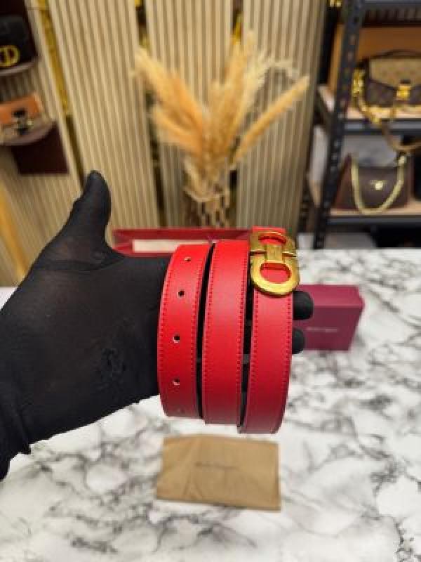 Salvator.epremium belt with box and dustybag (f42-red)