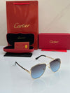 SUNGLASS D 539
