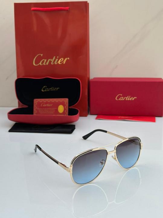 SUNGLASS D 539