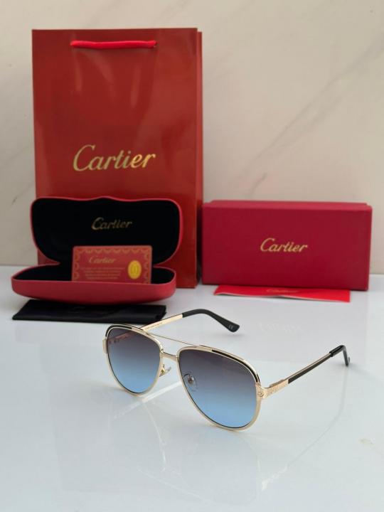 SUNGLASS D 539