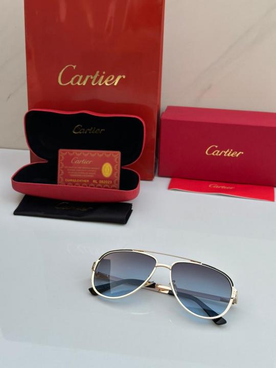 SUNGLASS D 539