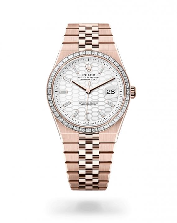 RolexLand-Dweller Diamond-Set Bezel Automatic Rose Gold White Dial