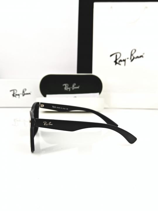 Rayba_an SUNGLASS D 234