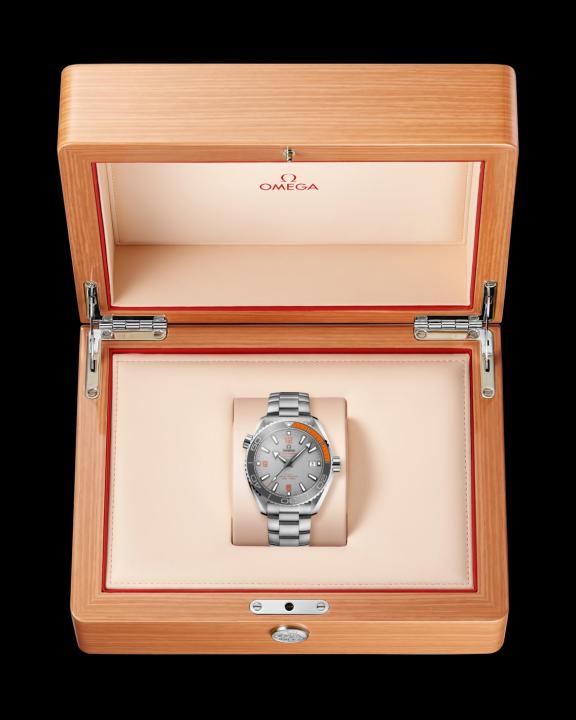Omegg_a Seamaster Planet Ocean 600M