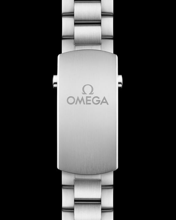 Omegg_a Seamaster Planet Ocean 600M