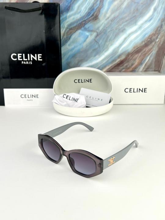 CELIN_E SUNGLASS D-555