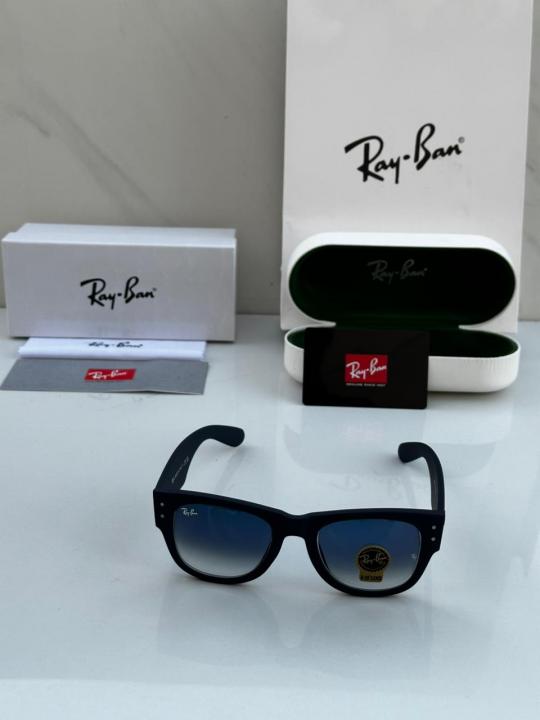 RAYBA_AN SUNGLASS D-588