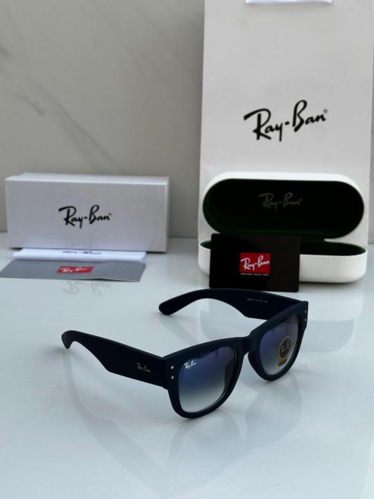 RAYBA_AN SUNGLASS D-588