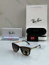 RAYBA_AN SUNGLASS D-591