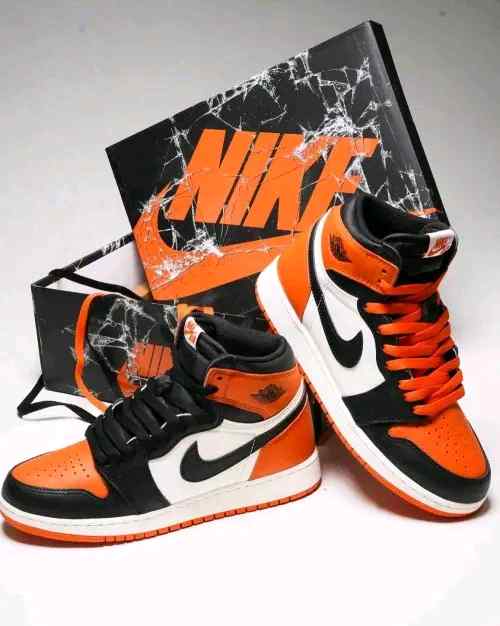 Air Jordan 1 Retro High OG Shattered Backboard