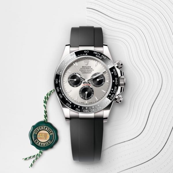 Roleex Daytona Cosmograph Grey Dial
