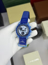 OMEG_A SWATCH