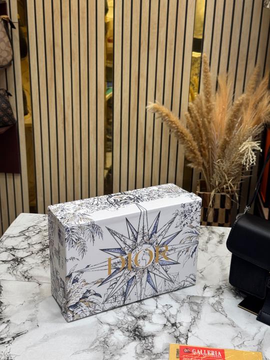 Dio Oblique Saddle Bag With Box And Dust Bag (Black) (8696)