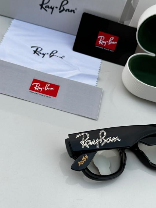 RAYBA_AN SUNGLASS Z-610
