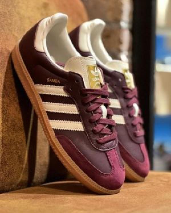 Samba Maroon For mens 649