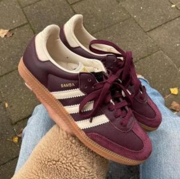 Samba Maroon For mens 649