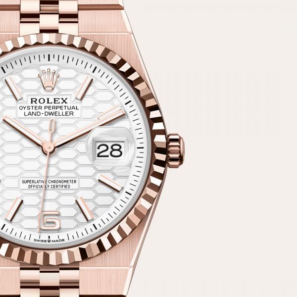 Roleex Land-Dweller 40 Everose Gold With White Dial