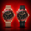 Omega Seamaster Diver 300M Dual Strap