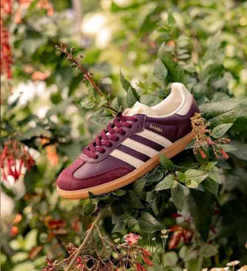 Adidaass Samba OG Maroon for her fix