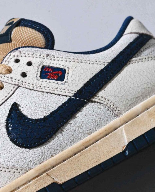 The Stranger Things X Nikkee SB Dunk Low Phantom