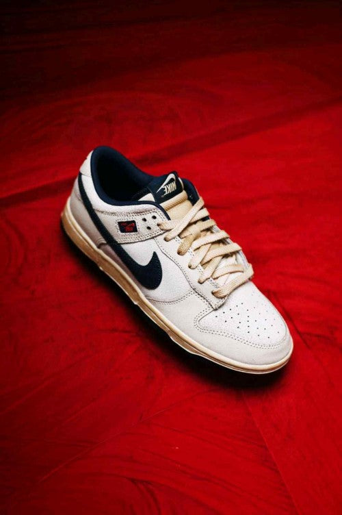 The Stranger Things X Nikkee SB Dunk Low Phantom