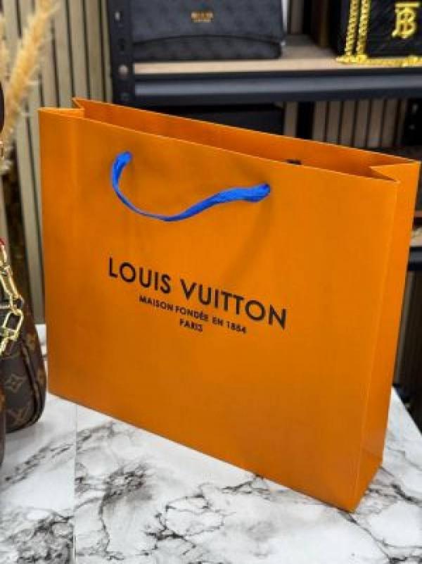 louiis vuitton pochette with double box and dust bag including carry bag (brown-m44840)