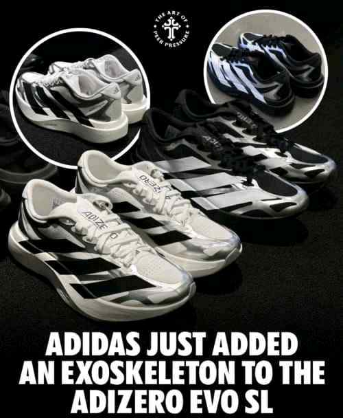 Adidaass Adizero Evo SL Exo Cloud White