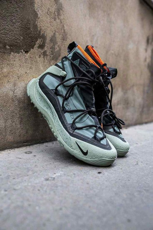 _Nikkee ACG Air Terra Antarktik_