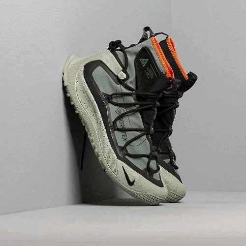 _Nikkee ACG Air Terra Antarktik_