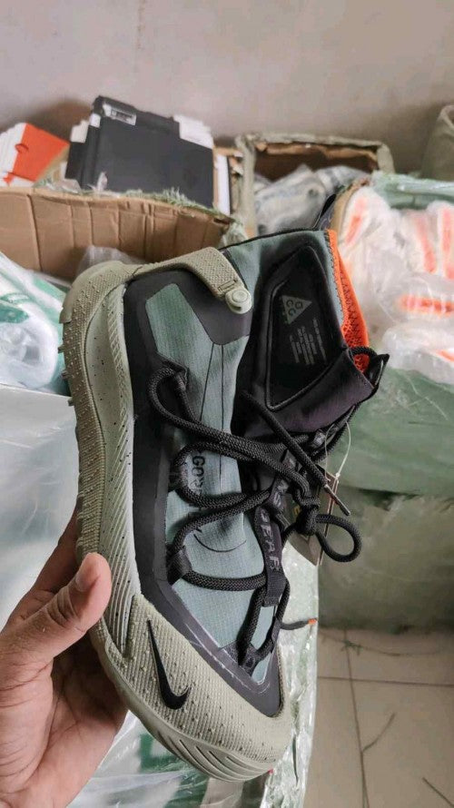 _Nikkee ACG Air Terra Antarktik_