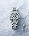 Rolee_x Oyster Perpetual Tiger Silver