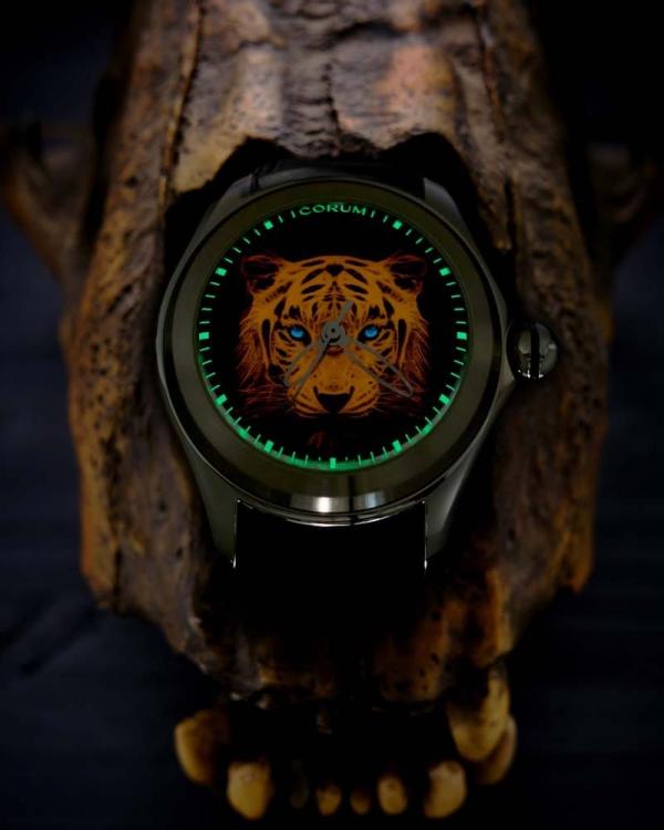 Corum Bubble 47 Luminescent Tiger Bubble Crystal