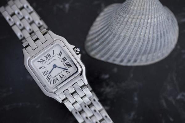 cartie er santos ladie 36 mm silver white 641