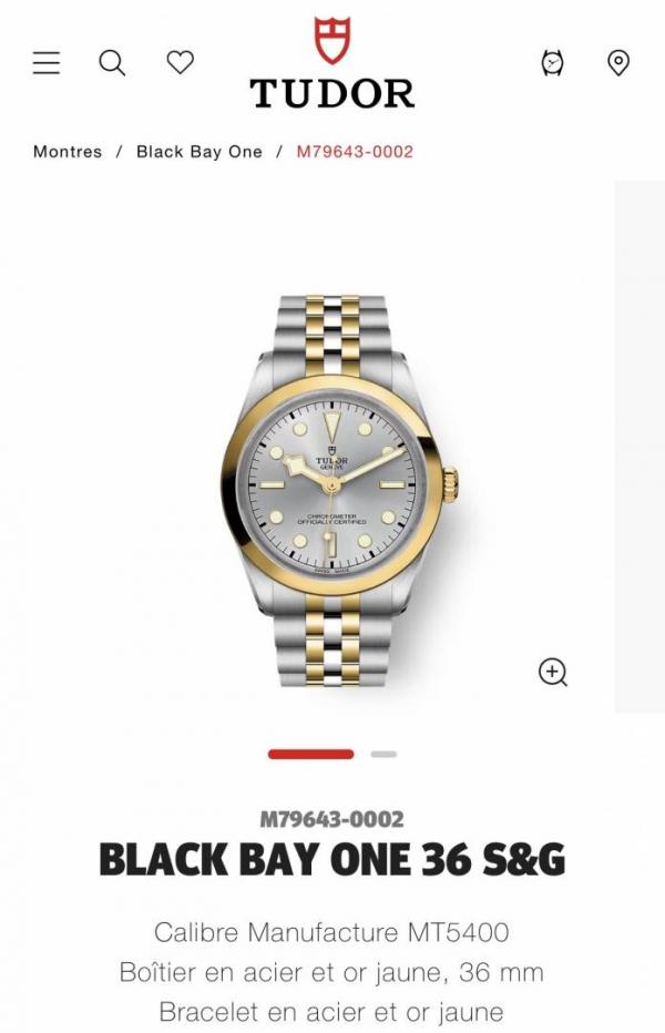 Tudor Black bay Mens Quartz Analog watch