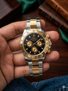 Rolee x daytona