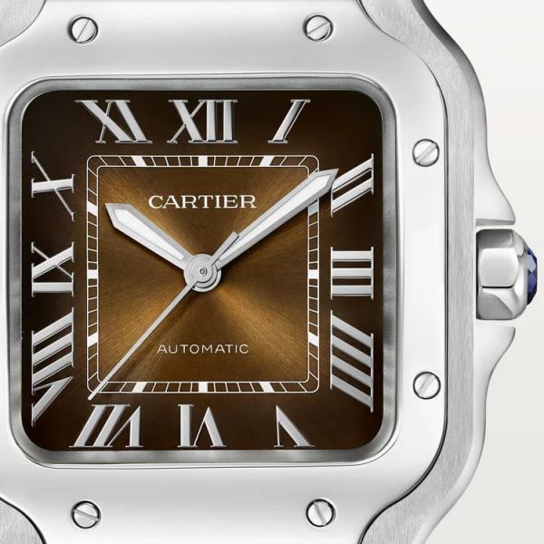 Cartiee_r Santos Automatic silver brown
