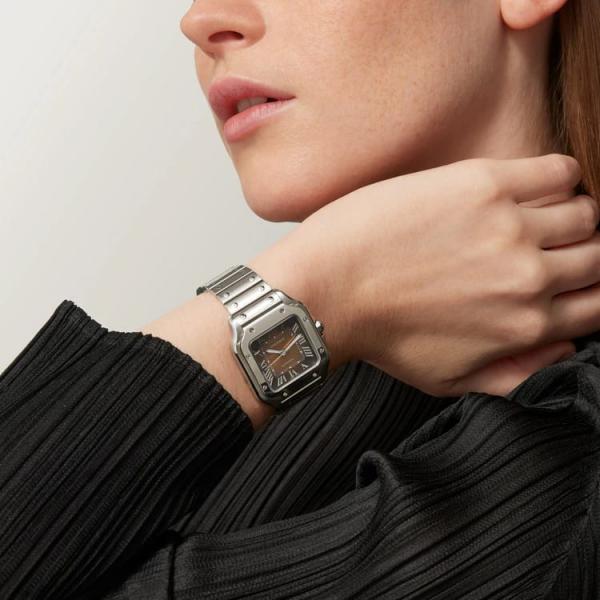 Cartiee_r Santos Automatic silver brown