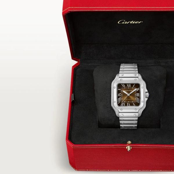 Cartiee_r Santos Automatic silver brown