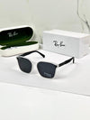 RAYBA_AN SUNGLASS D-677