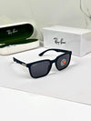 RAYBA_AN SUNGLASS Z-679
