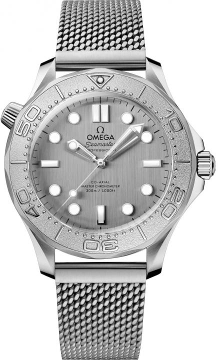 Omegg_a Seamaster Diver 300 Automatic silver gray