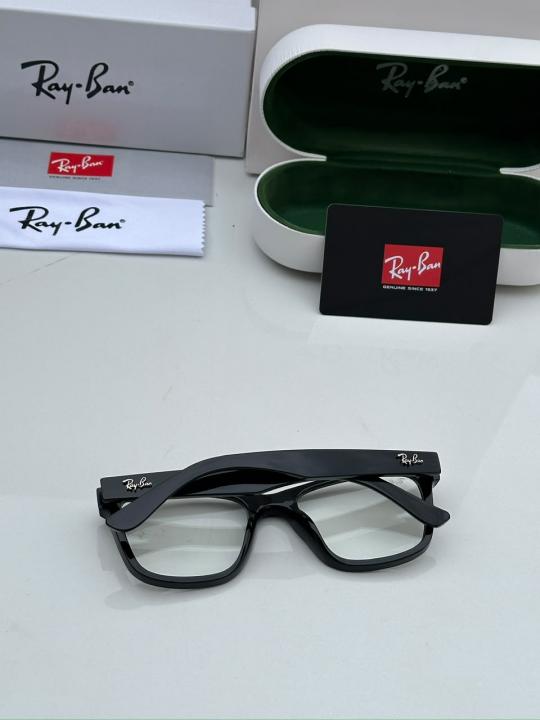 RAYBA_AN SUNGLASS Z-704