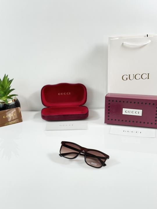 Guchi 0381 Brown